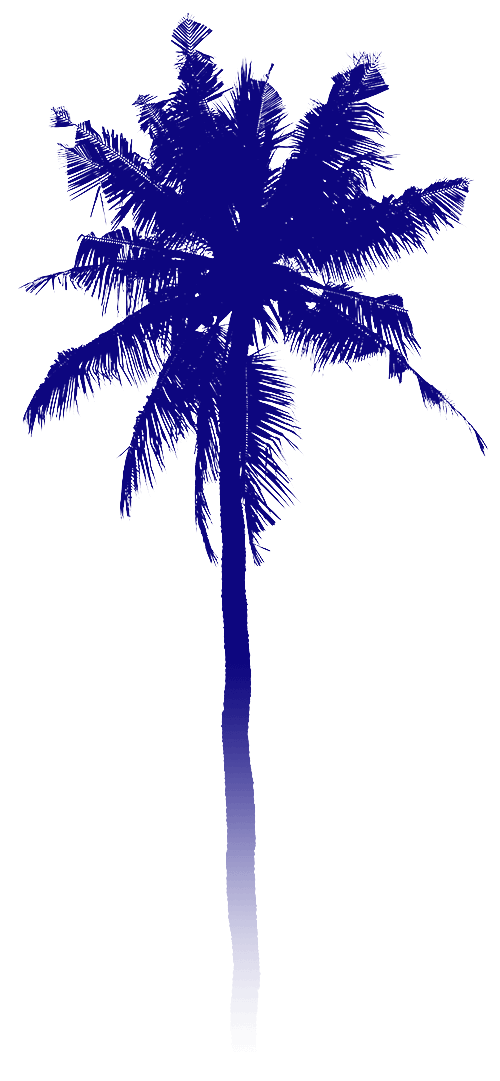 palmtree2small